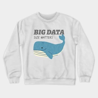 Big Data Crewneck Sweatshirt